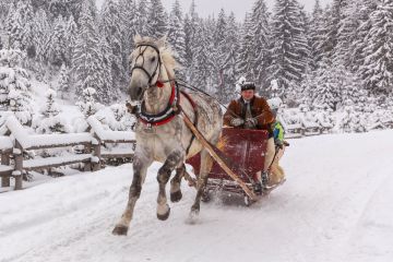Kulig zimowy z biurem Trio Travel - jednodniowe - kulig zimowy - Zakopane
