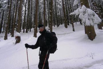 Trasa skitourowa z Doliny Małej Łąki na Wyżnie Stanikowe Siodło - narty - skitourowe zakopane - Kościelisko